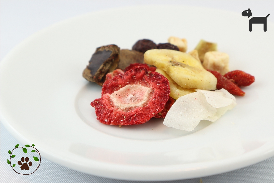 Früchte & Beeren Mix für Hunde