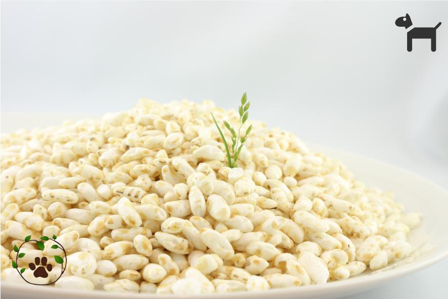 Reis Pops - die glutenfreie Beilage