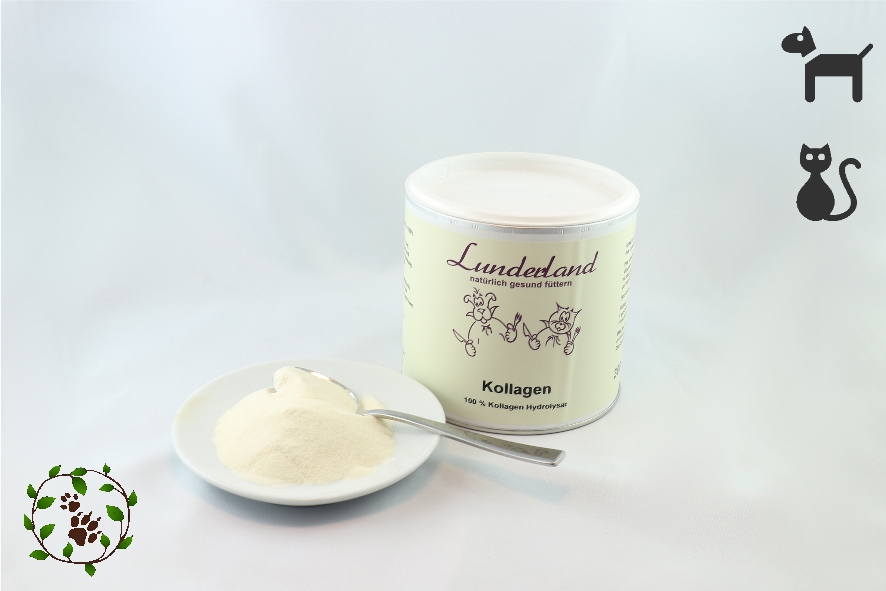Kollagen - 100% Kollagen Hydrolysat unterstützt die Gelenke