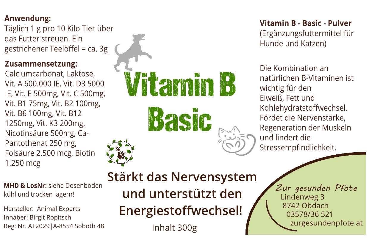 Vitamin B Basic- Gut versorgt mit allen Vitaminen und Mineralien