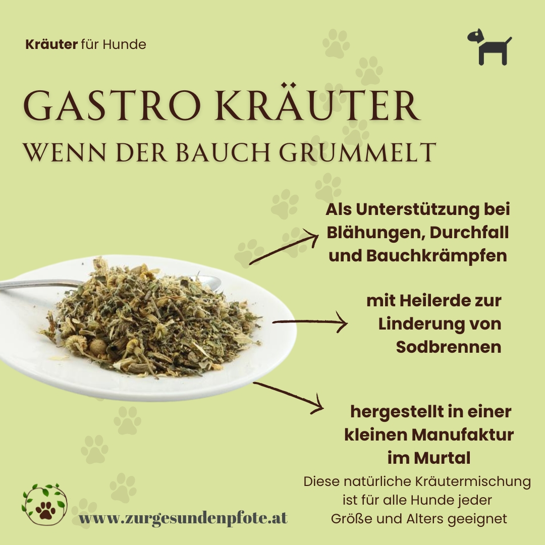 Gastro Kräuter für Hunde - wenn der Bauch grummelt