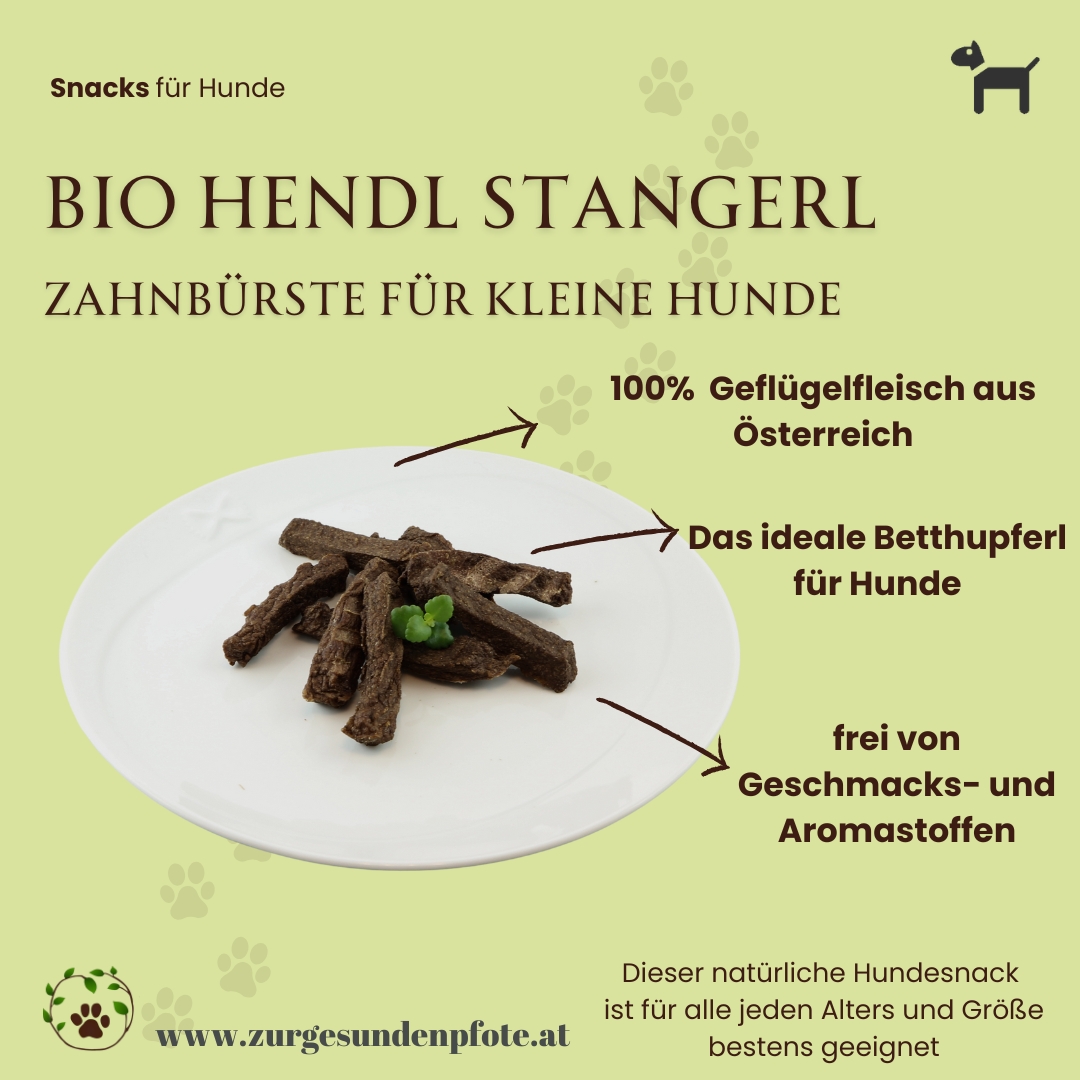 Bio Hendl Stangerl - Zahnbürste für kleinere Hunde
