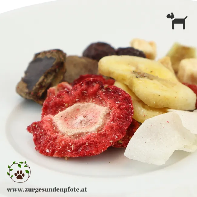 Detailaufnahme vom Früchte und Beeren Mix für Hunde