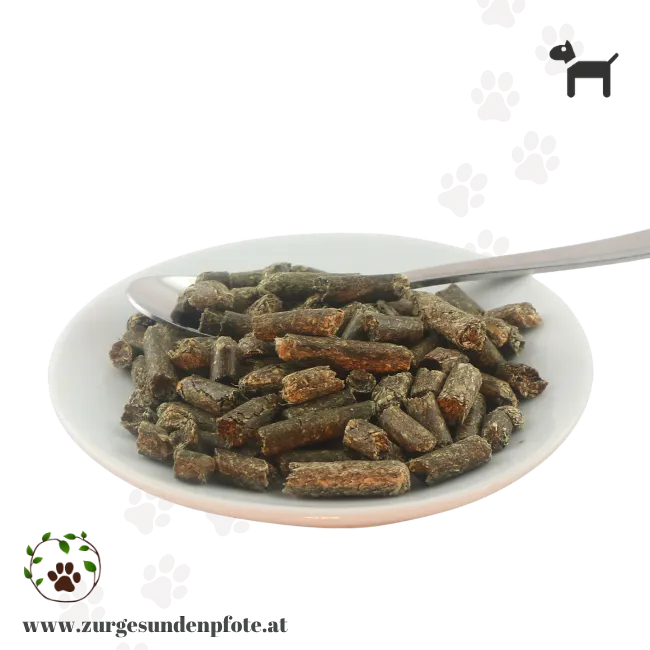 Luzerne Pellets für Hunde die Gras fressen