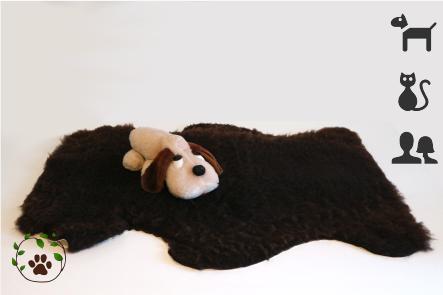 Lammfell für Hunde - für ein gesundes, kuscheliges Liegegefühl