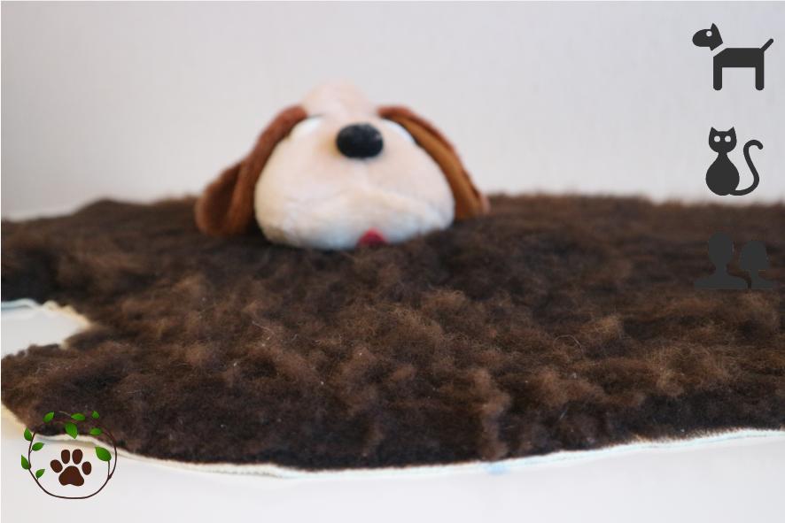 Lammfell für Hunde - für ein gesundes, kuscheliges Liegegefühl